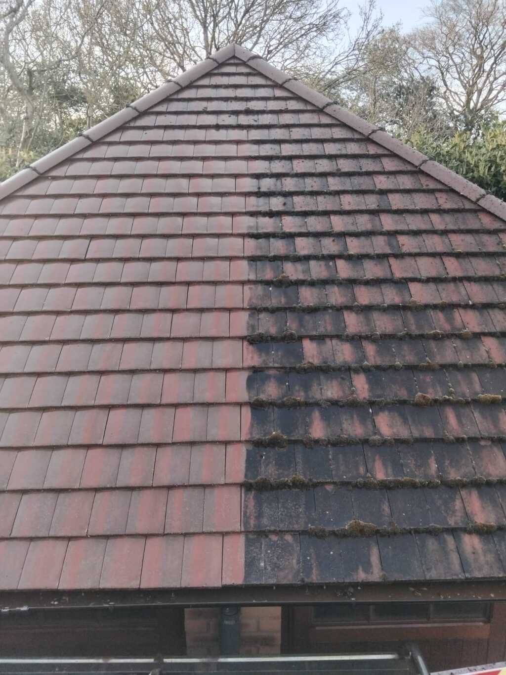 Roof cleaning
